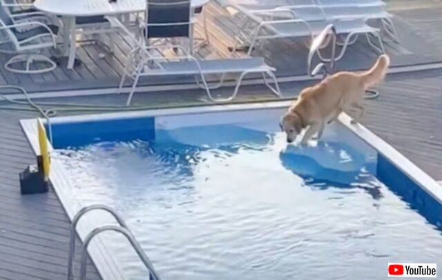 20231005_120854 (7)_batch