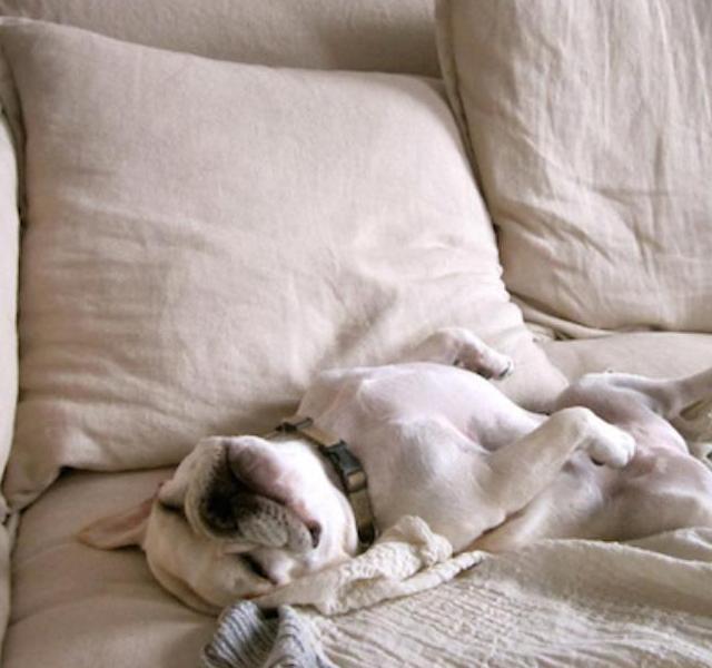 3couch ok