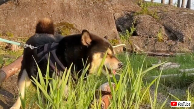 20230903_005256 (2)_batch