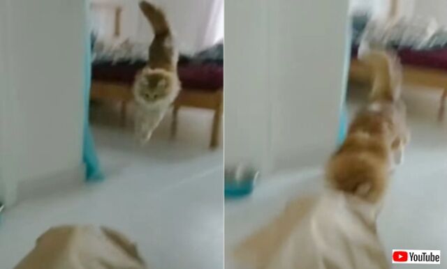 20240111_075257 (4)_batch