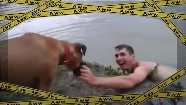 herodog [www-frame