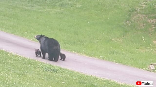 20230429_170106 (3)_batch