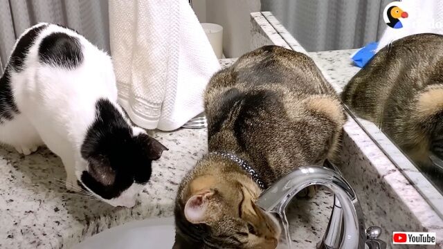 20230228_194454 (5)_batch