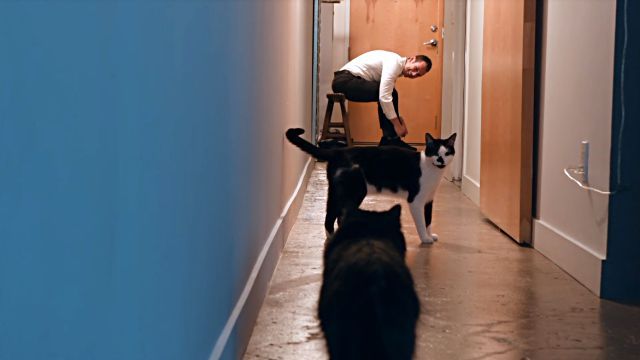 catprotecthishuman5