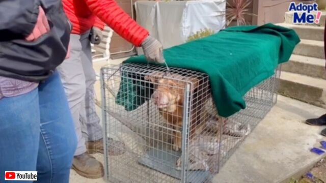 20231104_184656_batch