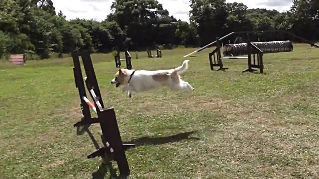 ollytraining2