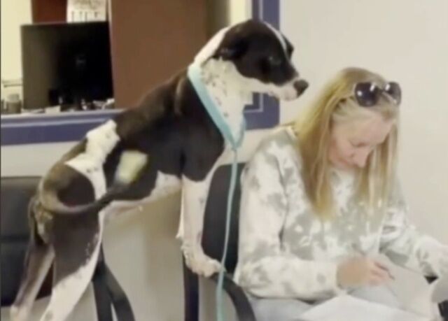 20240130_031153 (4)_batch