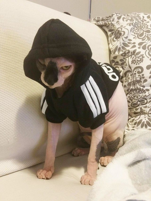 dead1_e