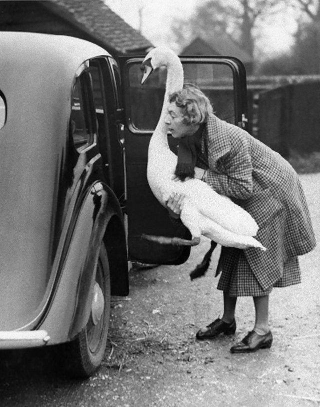 vintagephoto10_e