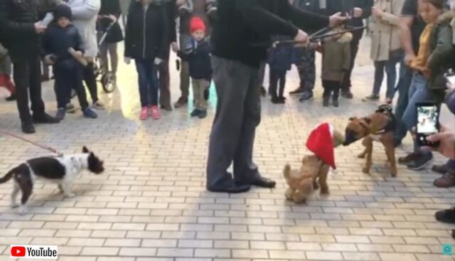 20230726_080408 (4)_batch