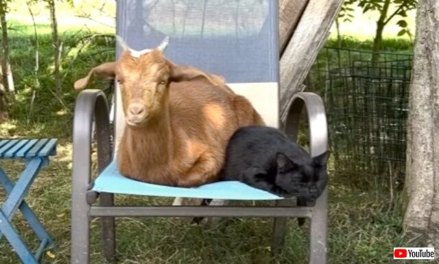 20220830_203018 (6)_batch