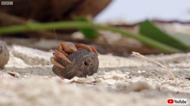 20230518_113231 (7)_batch