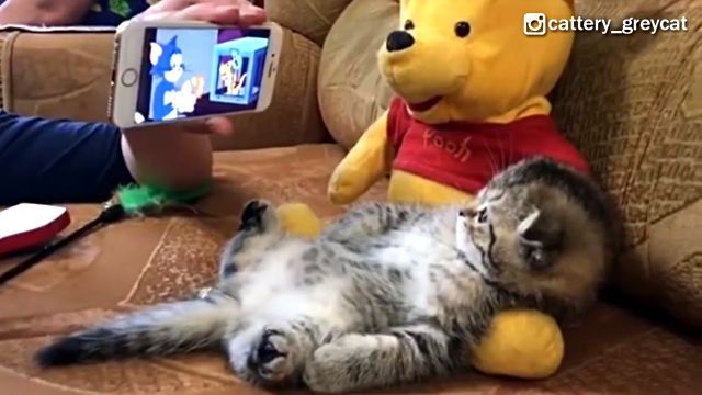 tomjerry3
