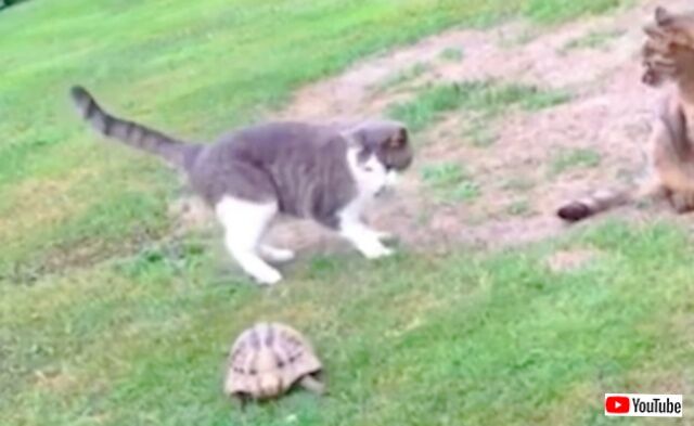 20240109_115041 (2)_batch