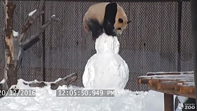 snowman3