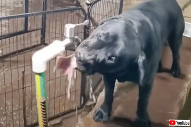 20231112_064622 (3)_batch