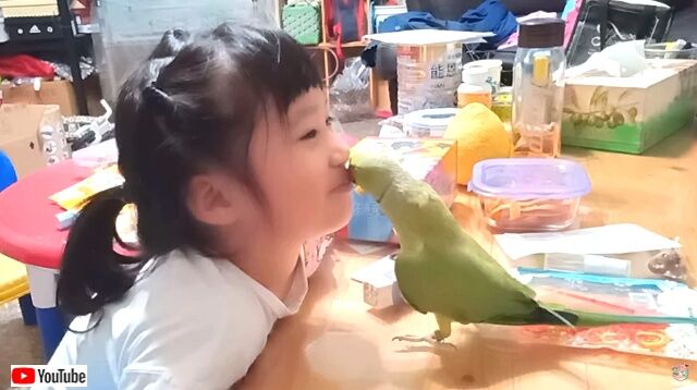 birdlusgirl3_640