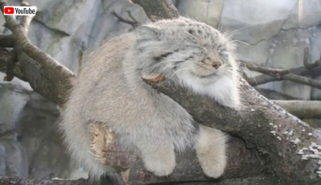 20230828_012411_batch