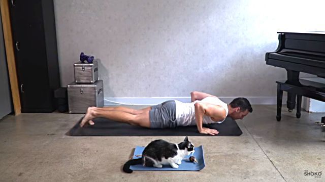 catyoga6
