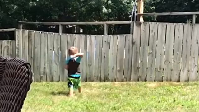 fetch1