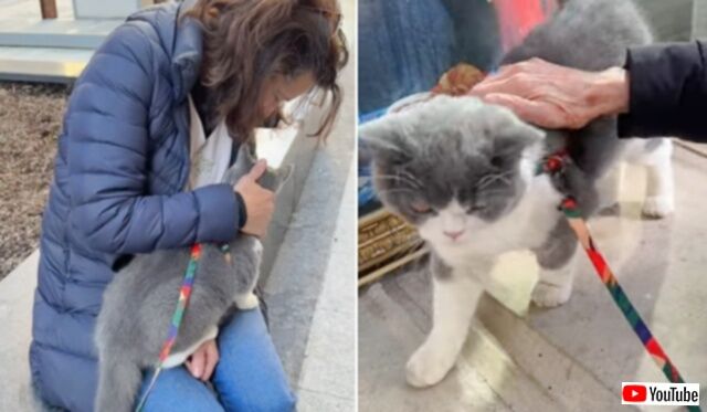 20240310_190152_batch