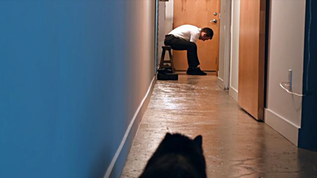 catprotecthishuman2