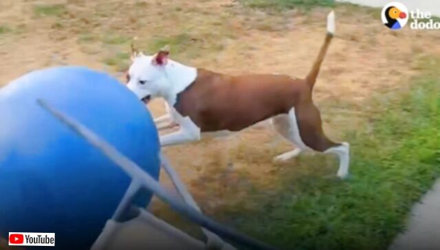 20230727_212310 (7)_batch