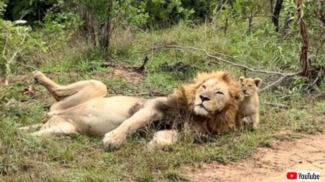 20231209_074032 (2)_batch