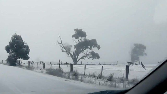 roosinsnow1_e