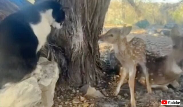 20230307_110928_batch