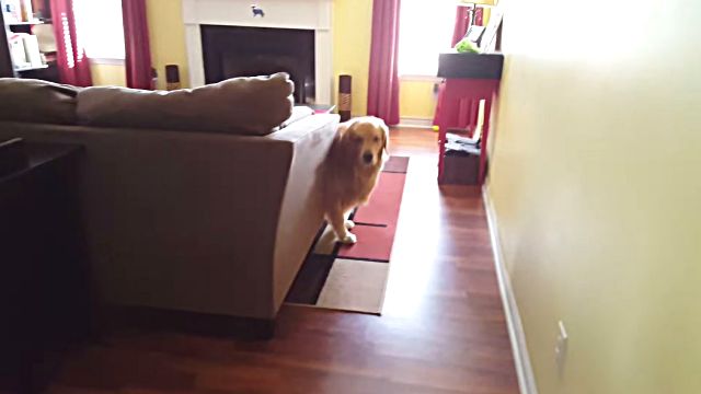 oshie1