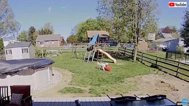 20221004_062030_batch