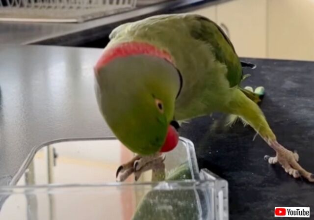 20230430_014832 (2)_batch