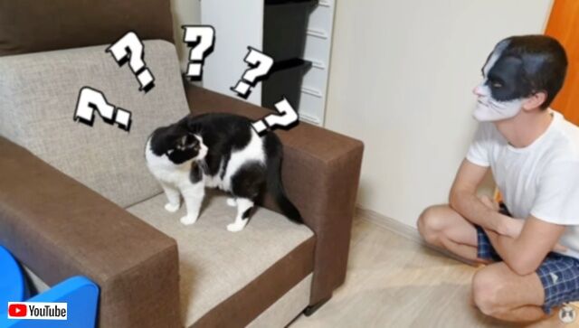 20231122_014854_batch