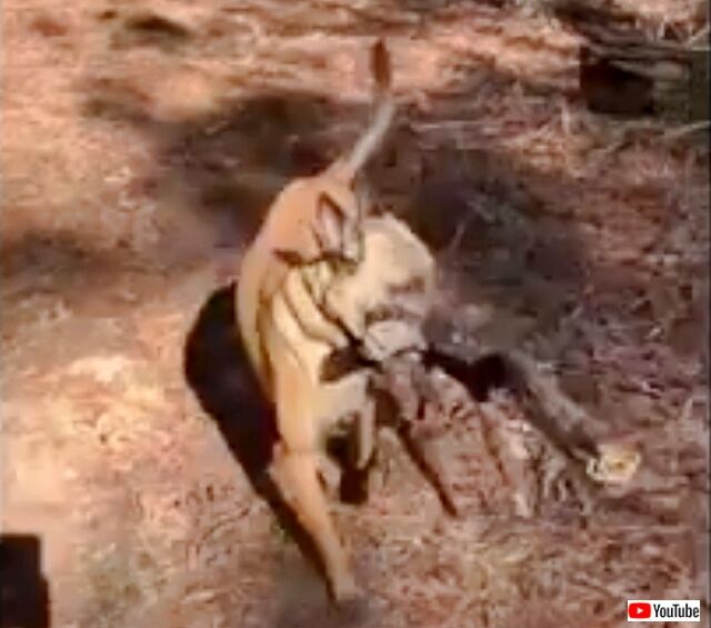 20230110_075109 (3)_batch