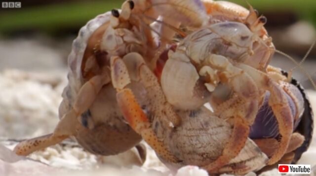 20230518_113231 (6)_batch