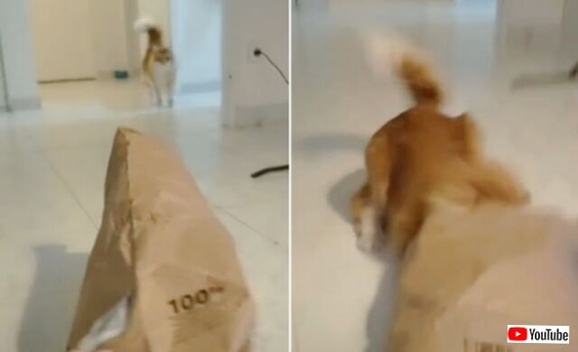 20240111_075257 (3)_batch