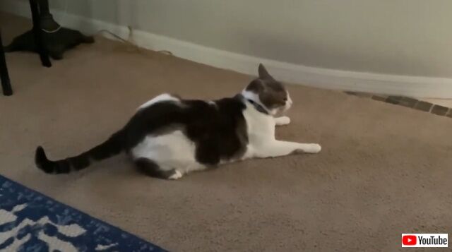 20220707_004455 (2)_batch