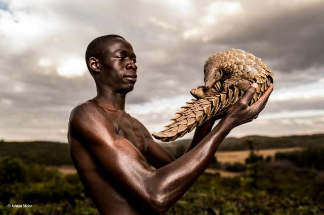 wildlife-photographer-of-the-year-65