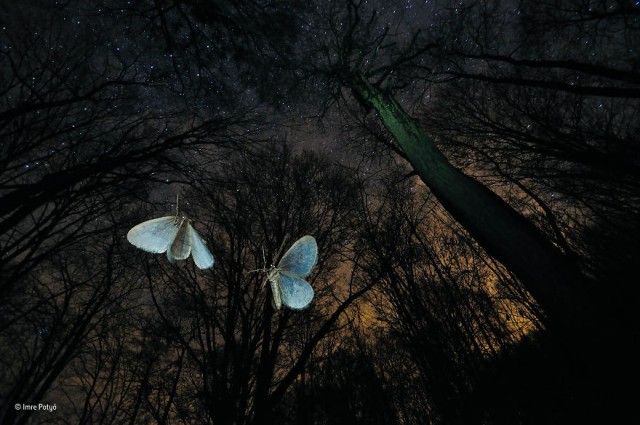 wildlife-photographer-of-the-year-23