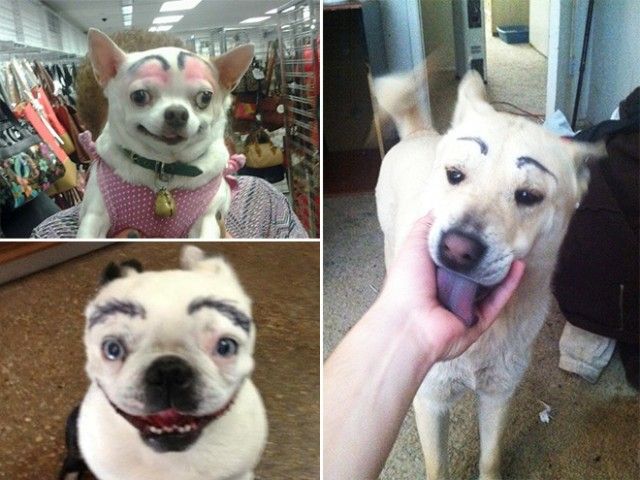 eyebrows3_e