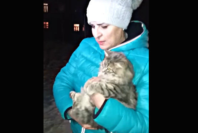 frozencat8