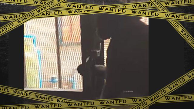 doorcat1-frame