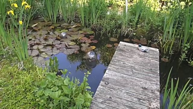 fishtower1