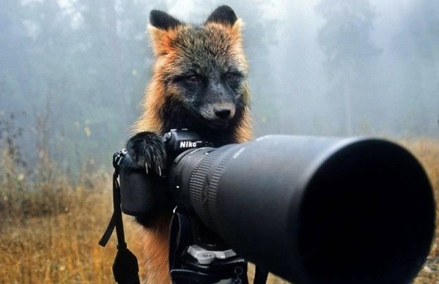 photographers18_e