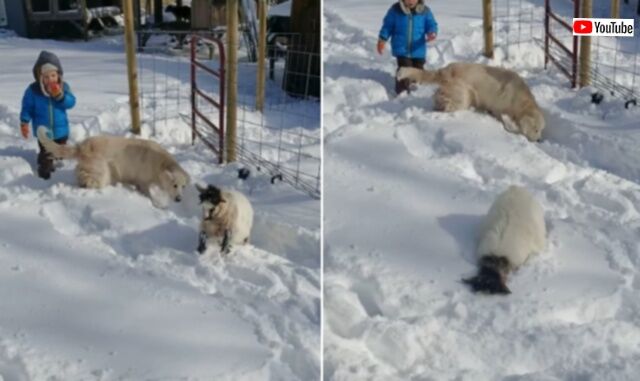 20240121_115800 (3)_batch
