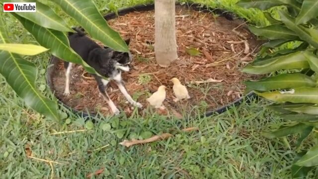 20220407_004423 (4)_batch
