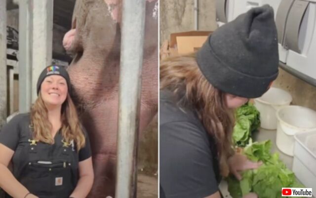 20240121_070708_batch