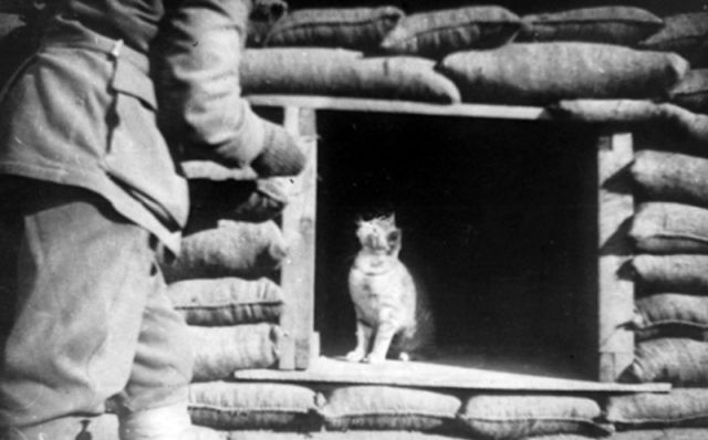 historicalphotos9_e
