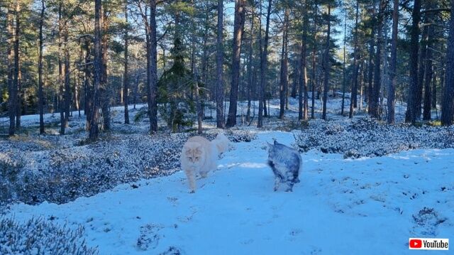 20230207_024547 (2)_batch